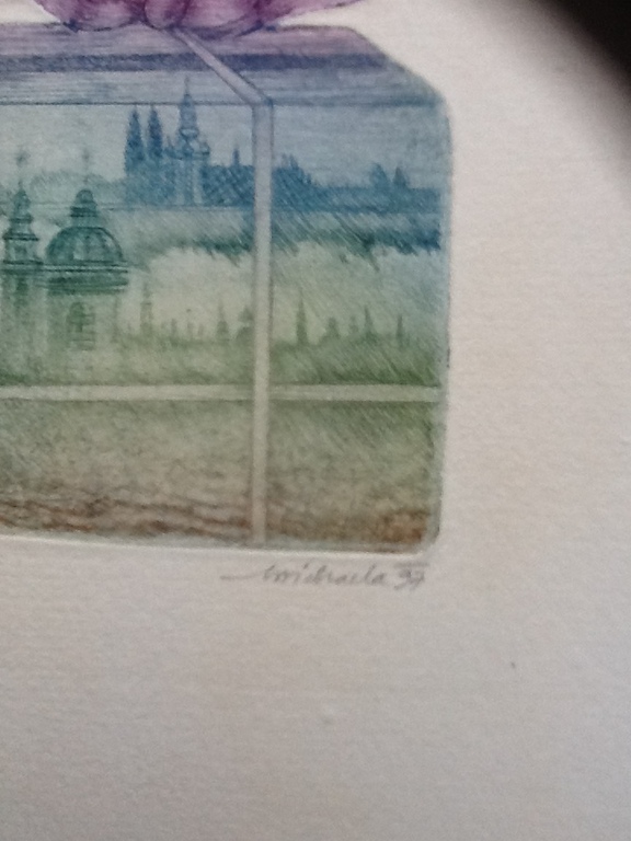 Ets, Onbekende kunstenaar,gesigneerd ,20/50 kopen? Bied vanaf 1!