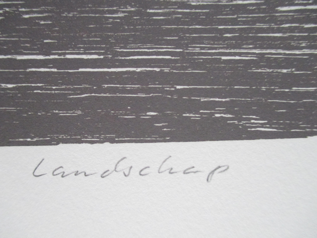 Sigurdur Gudmundsson, houtsnede "Landschap" 1988, 29/60 ex. kopen? Bied vanaf 60!