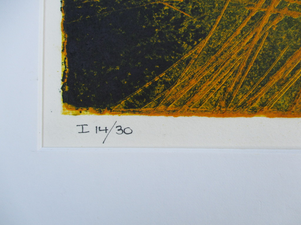 Margriet Westervaarder: zeefdruk, zonder titel kopen? Bied vanaf 65!