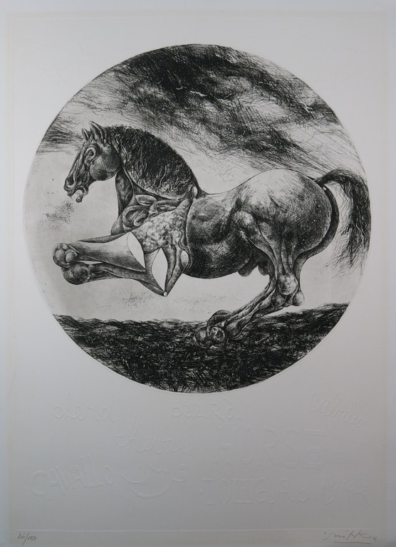 Willem Snitker: Ets, blinddruk, Paard  kopen? Bied vanaf 1!