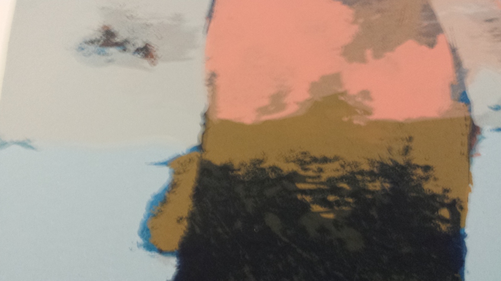 Henk van Vessem zeefdruk kopen? Bied vanaf 1!