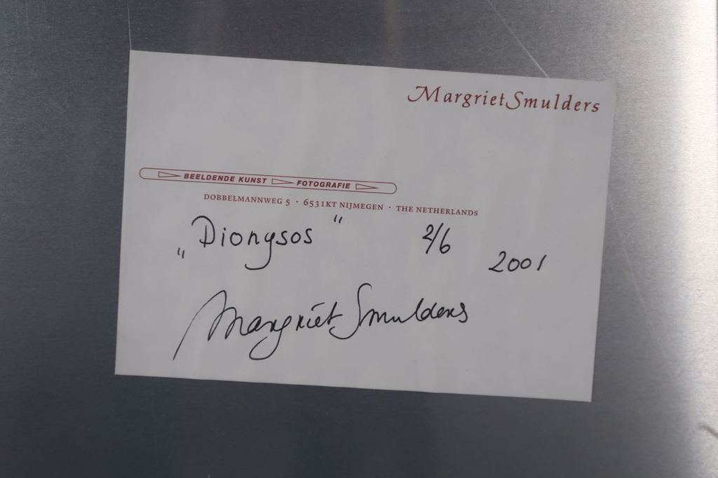 Margriet Smulders: Cibachrome print, Dioysos (Groot) kopen? Bied vanaf 1500!