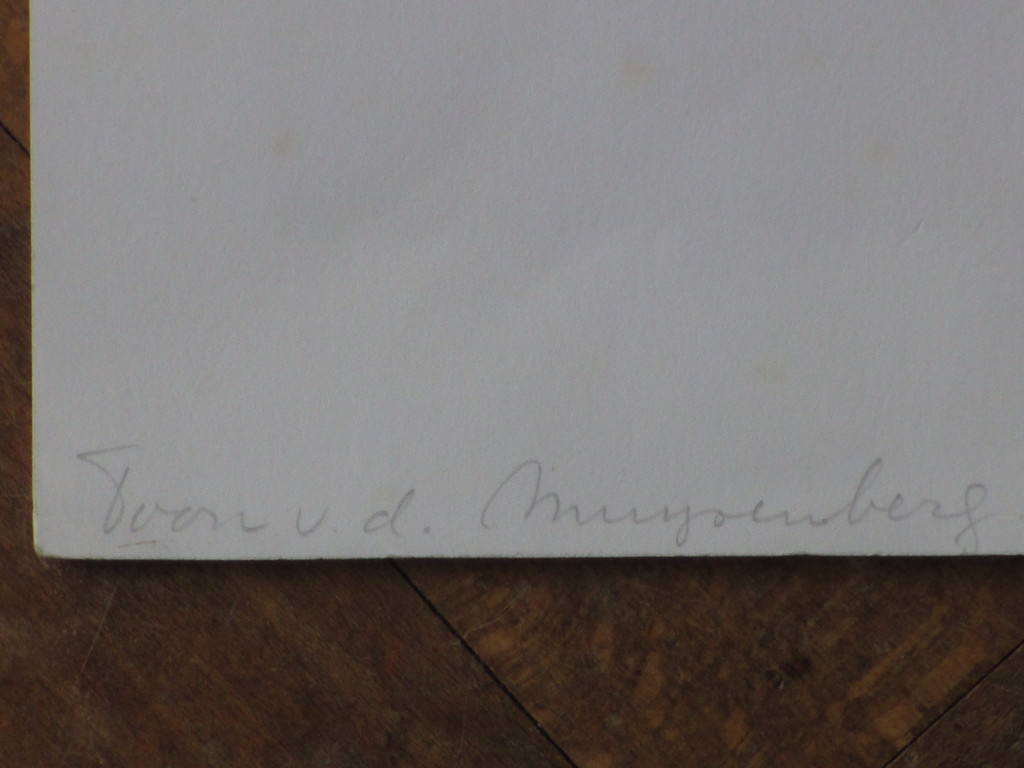 Toon van de Muysenberg - Toon van de Muysenberg, Stilleven met schelp, Litho kaufen? Bieten Sie von 1!