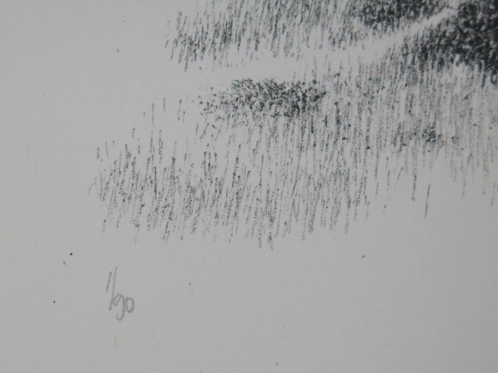 Metten Koornstra: Litho, Landschap met huisje kopen? Bied vanaf 50!