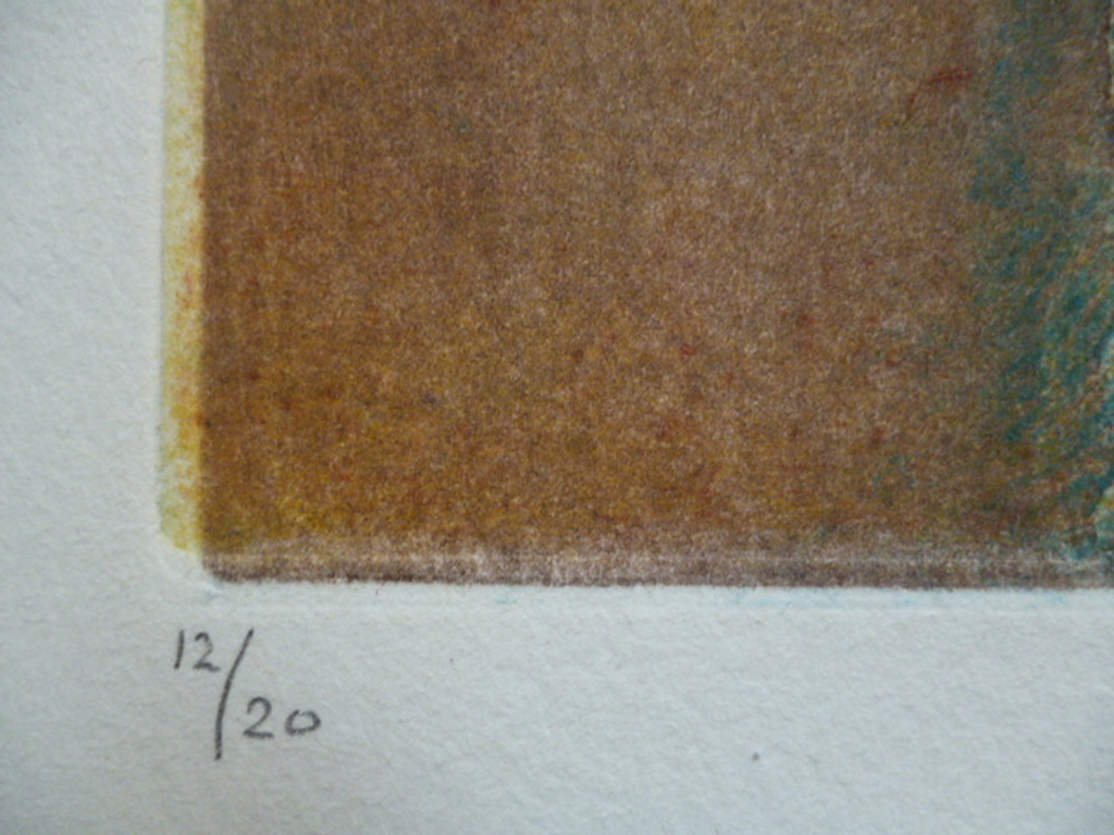 Kees Slegt - kleurenets - Abstract kopen? Bied vanaf 35!