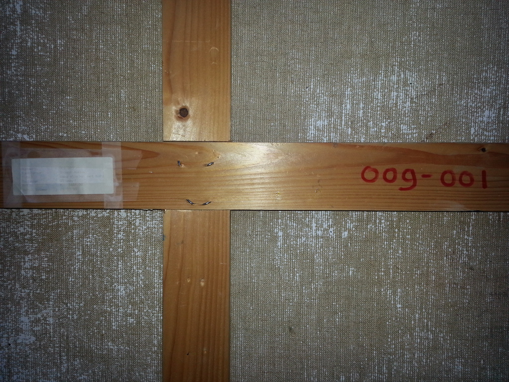 Thomas Ankum (1961) - Olie op doek (groot), verso genummerd kopen? Bied vanaf 1!