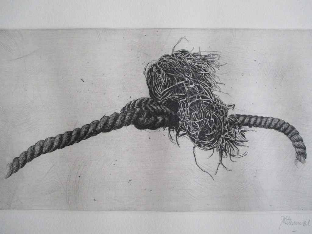 Wittevrongel, ets kopen? Bied vanaf 30!