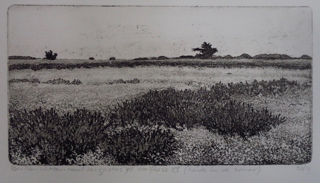 Paulien Wittenrood: Ets, Wolfheze VI (heide in de zomer) kopen? Bied vanaf 20!
