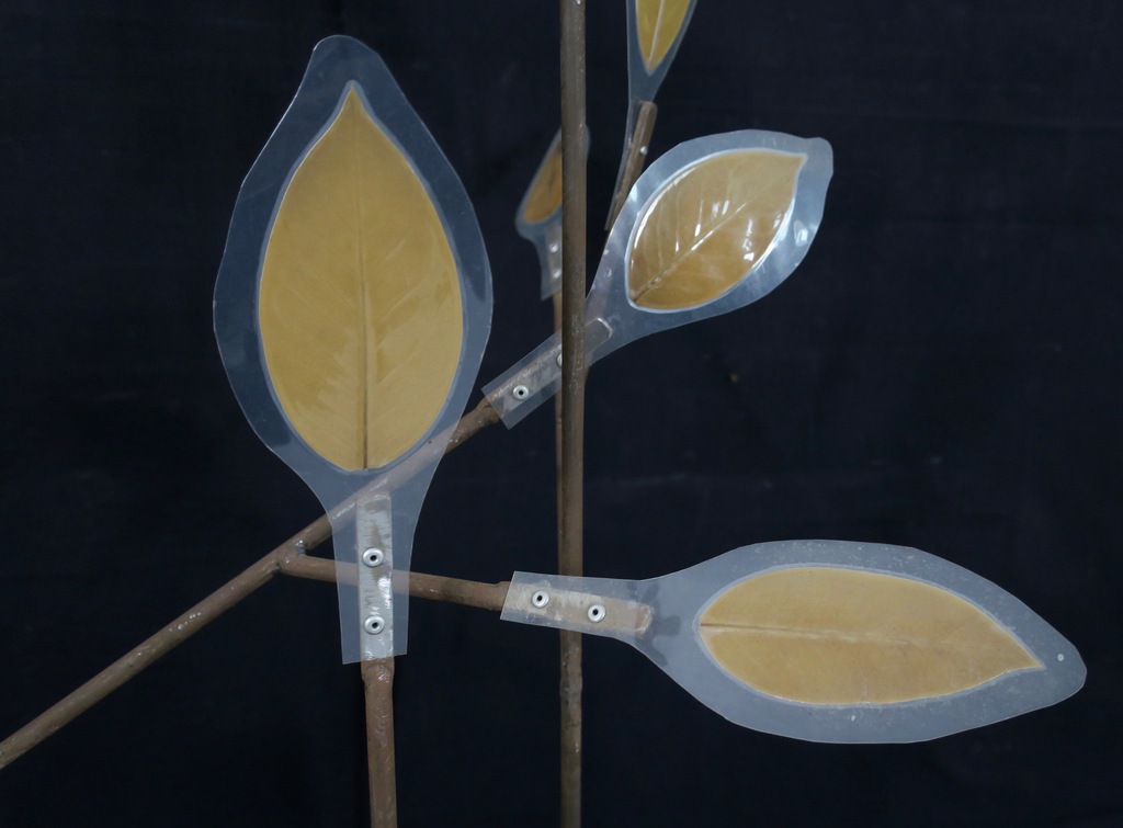 Rop Philippi: Gemengde techniek (beeld), Takken kopen? Bied vanaf 100!