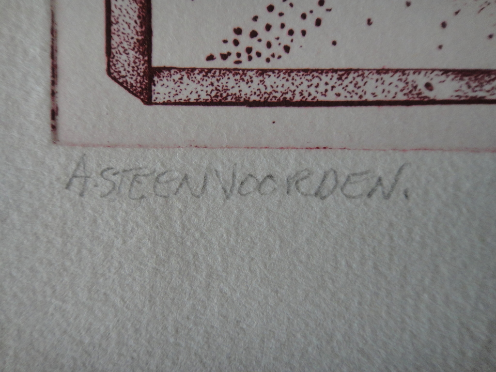 Ab Steenvoorden, ets, 'tweestrijd'  kopen? Bied vanaf 1!