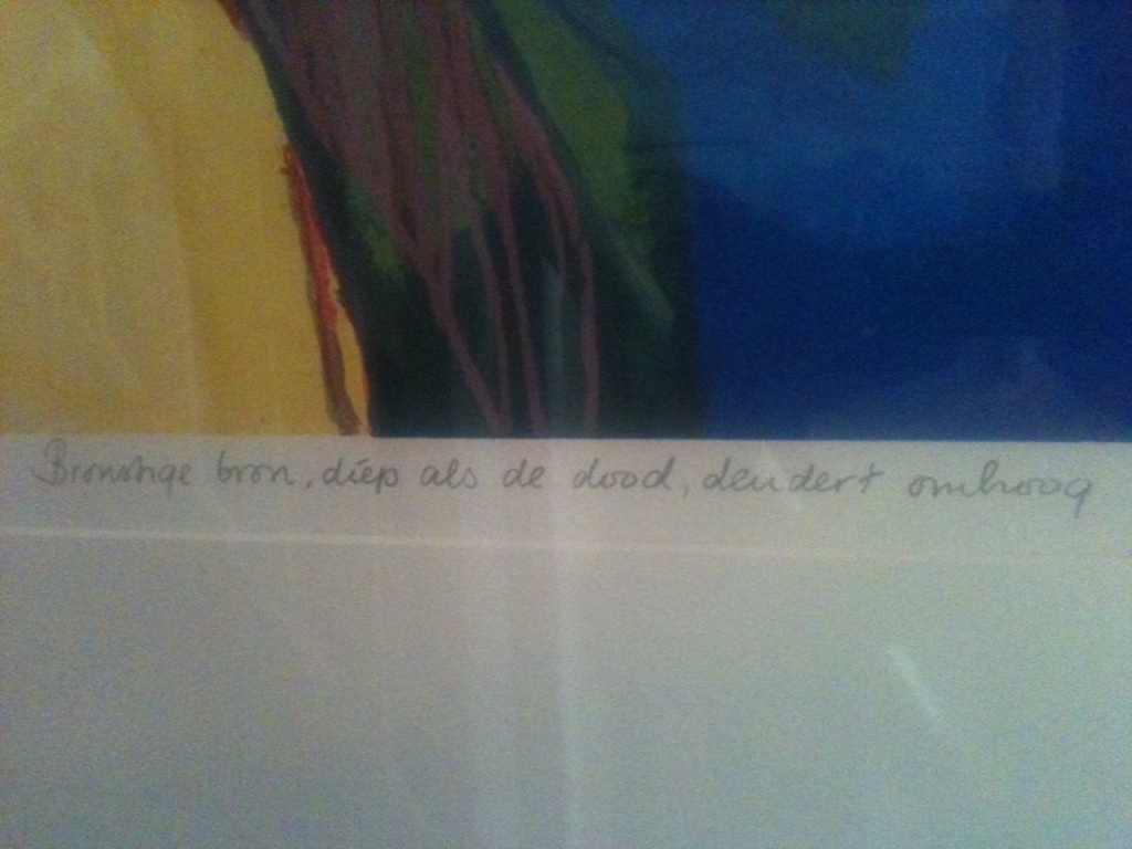 Henk van Vessem kleurenzeefdruk (ingelijst achter glas) kopen? Bied vanaf 50!