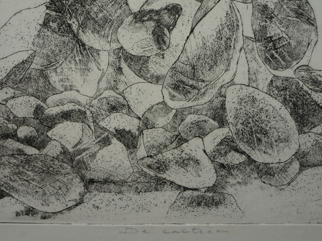 Walter Barten : Ets , De cactussen – gesigneerd – ca 1980 kopen? Bied vanaf 1!