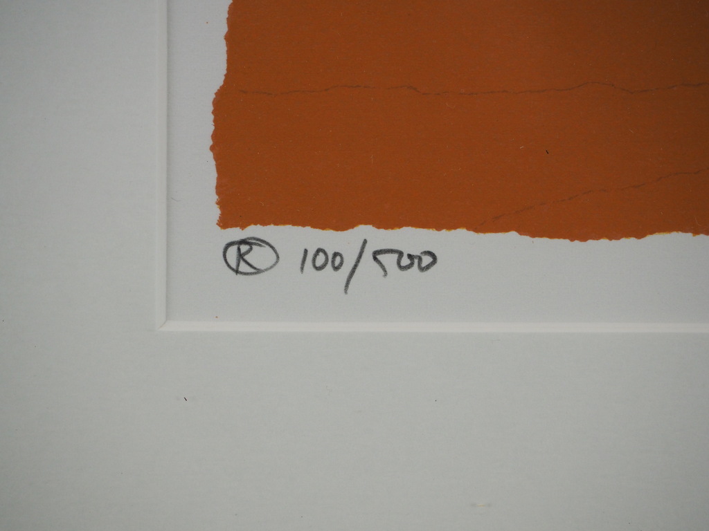 Hans Innemee: Zeefdruk, zonder titel kopen? Bied vanaf 50!