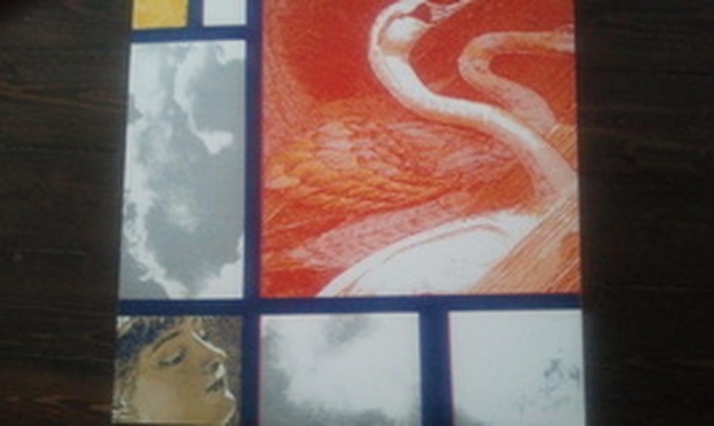 Zwanen kopen? Bied vanaf 15!