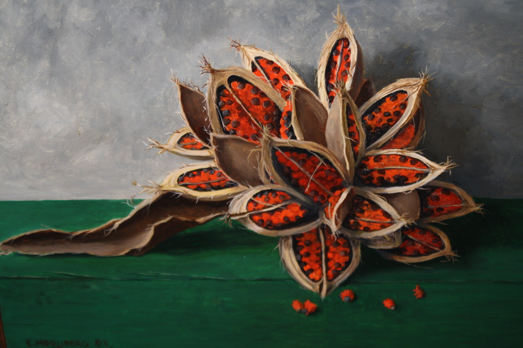 Elbert Hooijberg - Modern realisme - elbert HOOIJBERG Groningen - RODE ZADEN verkocht voor € 175!