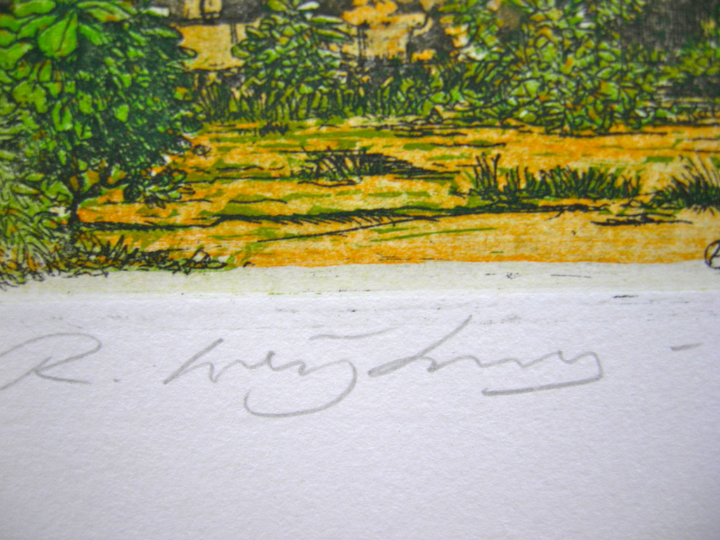 Rolf Weijburg, kleurenets, Ibo - Mozambique kopen? Bied vanaf 50!