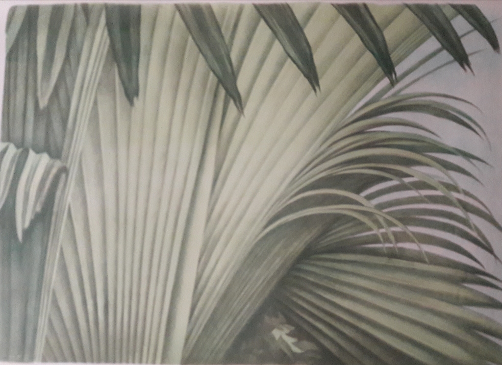 JP de Vroom ., kleur litho , Palm IiI kopen? Bied vanaf 65!