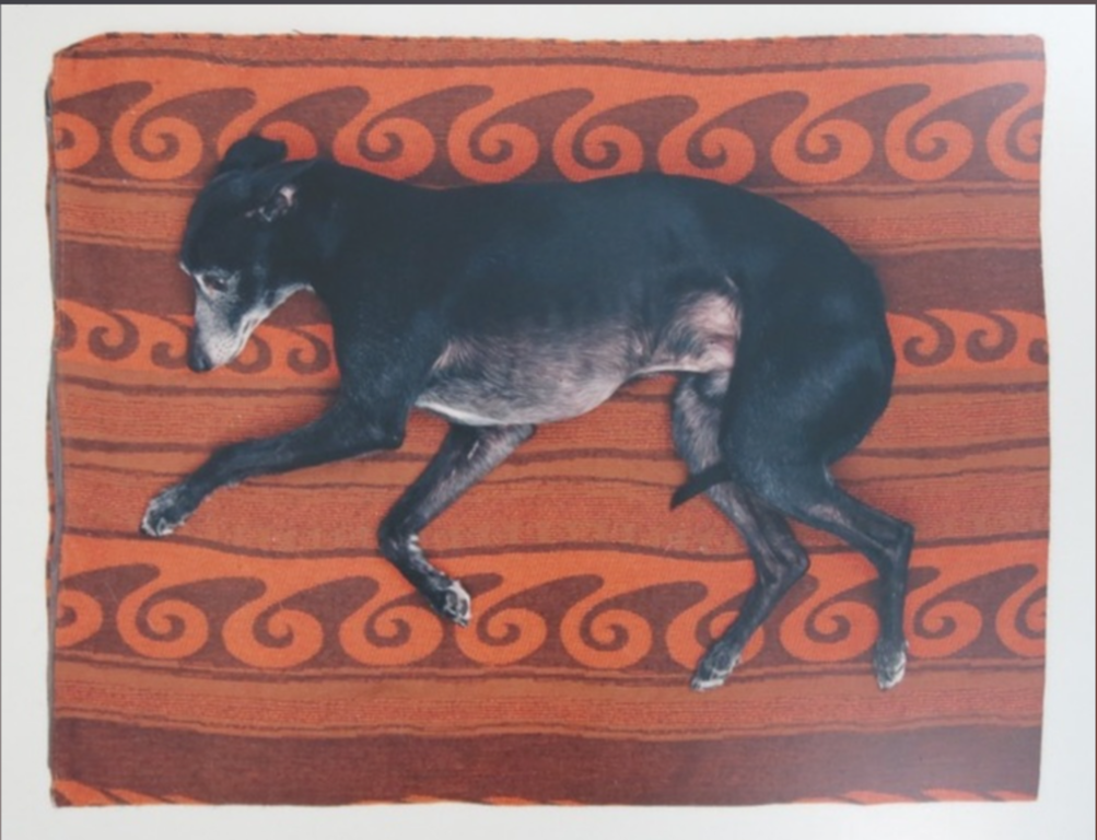 Maarten Wetsema: Foto op aluminiumplaat, Rik op kleed kopen? Bied vanaf 1!