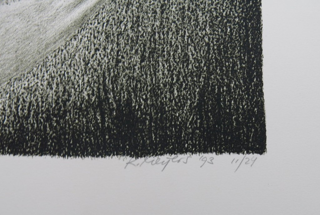 Karel Meijers: Litho, Handlezen kopen? Bied vanaf 1!