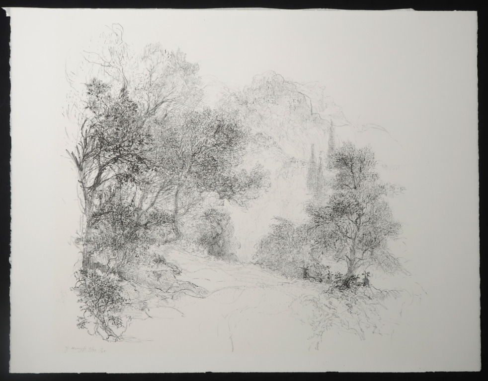 Jaap Kruijff: Litho, Z.T. Landschap kopen? Bied vanaf 1!