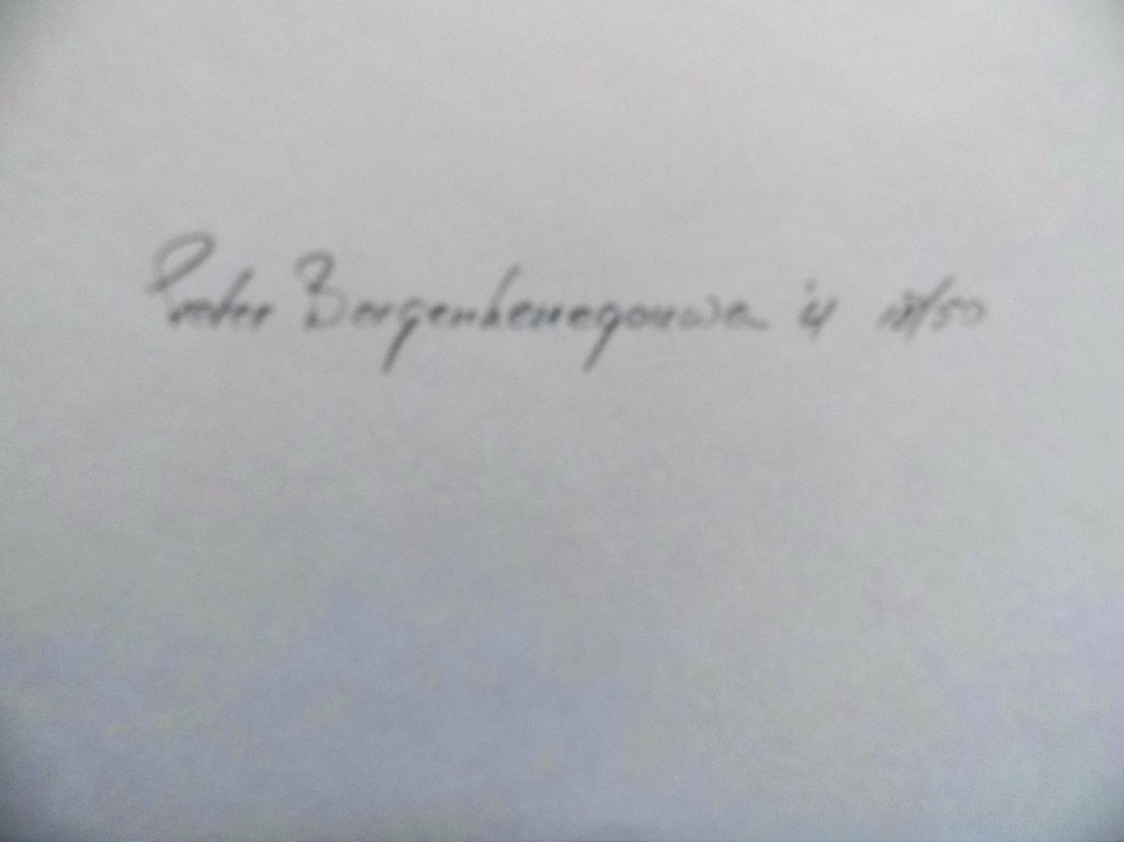 2 litho's van Pieter Bergenhenegouwen kopen? Bied vanaf 22!