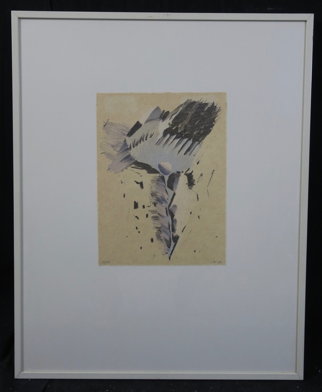 Jan Hein van Rooy: Litho op Rijstpapier, Z.T. II - Ingelijst kopen? Bied vanaf 1!