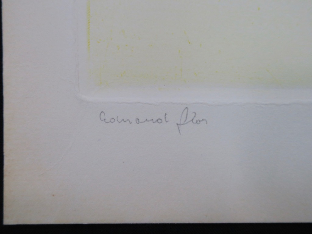 Eduard Flor: Ets en aquatint, Zonder titel kopen? Bied vanaf 1!