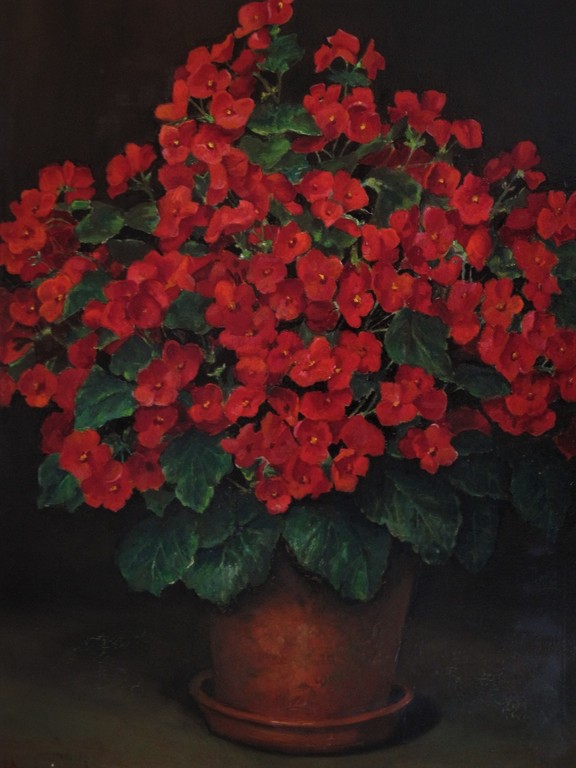 Prachtig GROOT gesigneerd "Grootveld 1949" stilleven van rode potplant Begonia?  kopen? Bied vanaf 1!