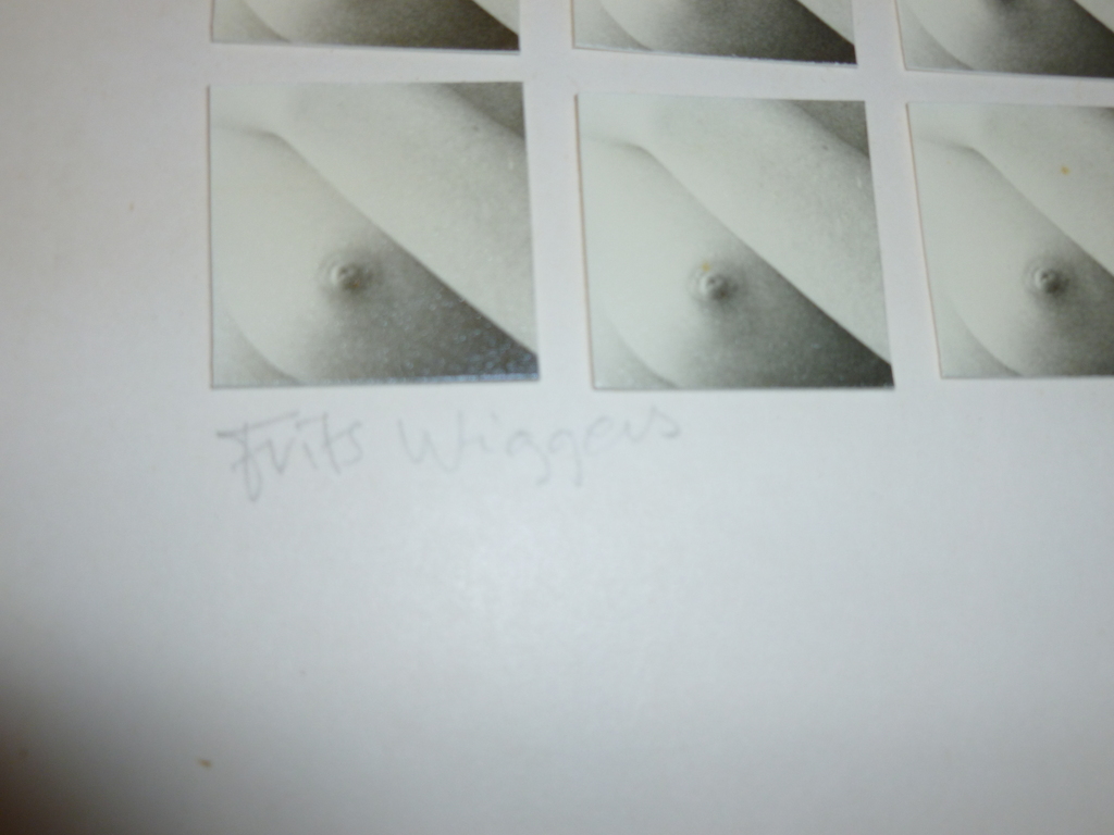 Tof werk van Frits Wiggers (Den Haag 1945).Foto-papiercollage. kopen? Bied vanaf 12!