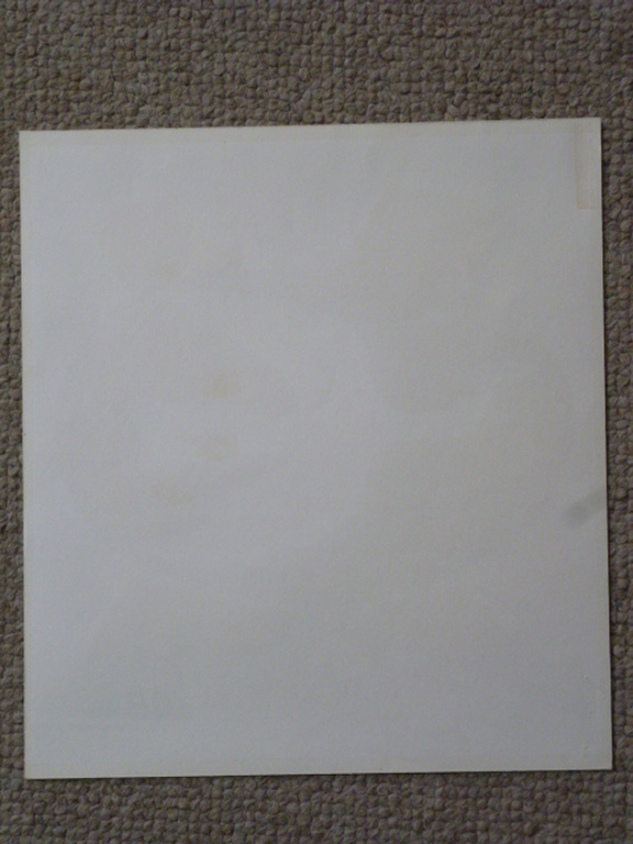 Georges Braque - L'oiseau de feu kopen? Bied vanaf 50!