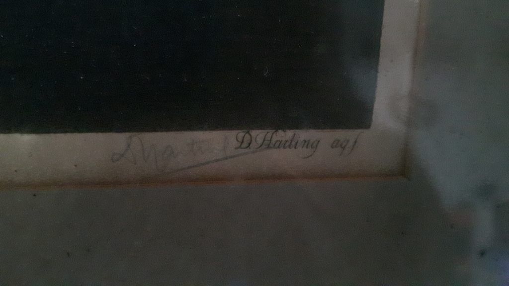 D. Harting (1884 - 1970) - Grafiek -   kopen? Bied vanaf 1!