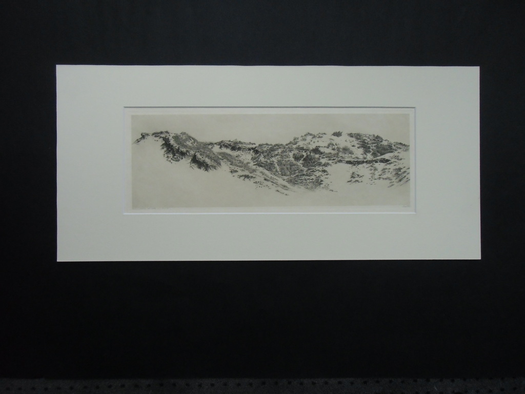 DUINLANDSCHAP // ETS VAN DIRK HARTING verkocht voor € 41!