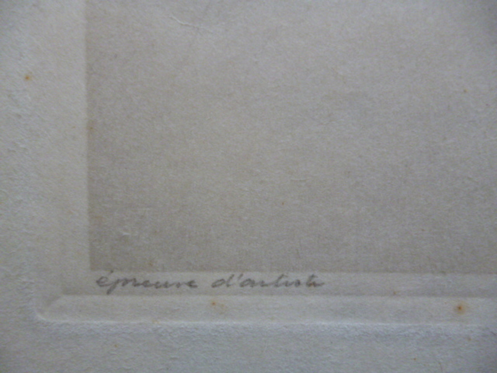 Dirk Harting - ets - Duinlandschap kopen? Bied vanaf 45!