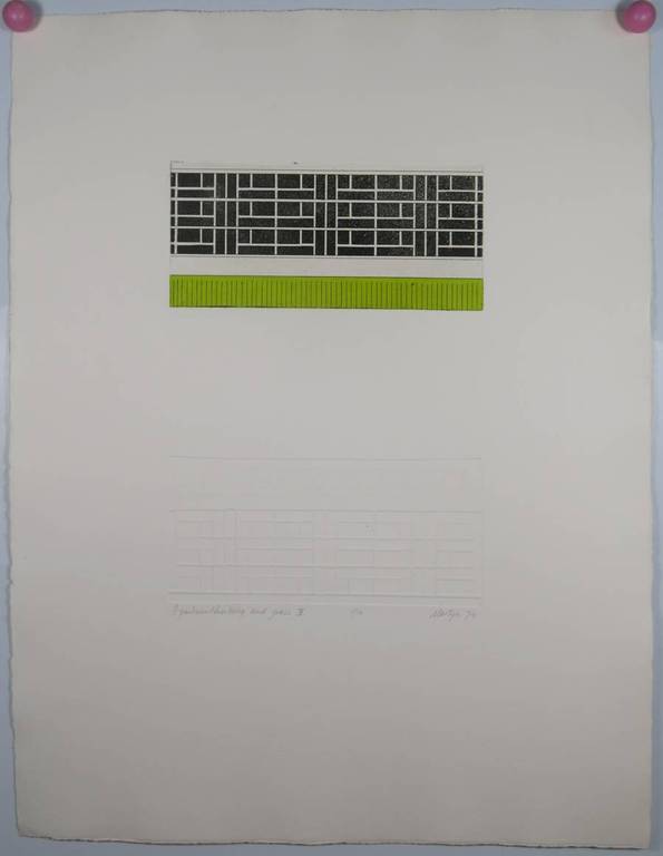 Martijn Ruiter: Ets en aquatint en reliefdruk, Apartmentbuilding and grass IV kopen? Bied vanaf 1!