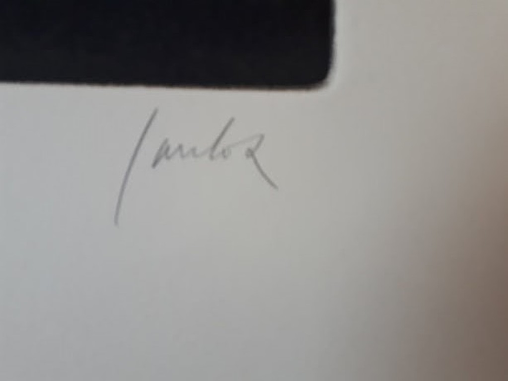 Jan Cox  ets, handgesigneerd en genummerd, oplage 30 kopen? Bied vanaf 110!