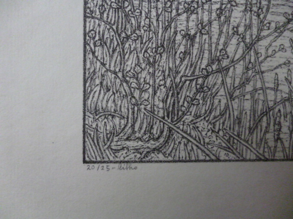 Rudolf Bremmer - litho - Tuin  met tuinder kopen? Bied vanaf 40!