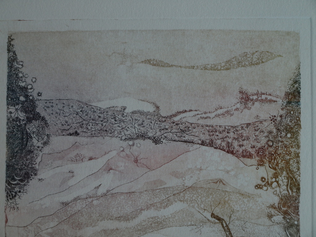 Kees de Ruijter : Ets , Duinen – gesigneerd - 1979  kopen? Bied vanaf 10!