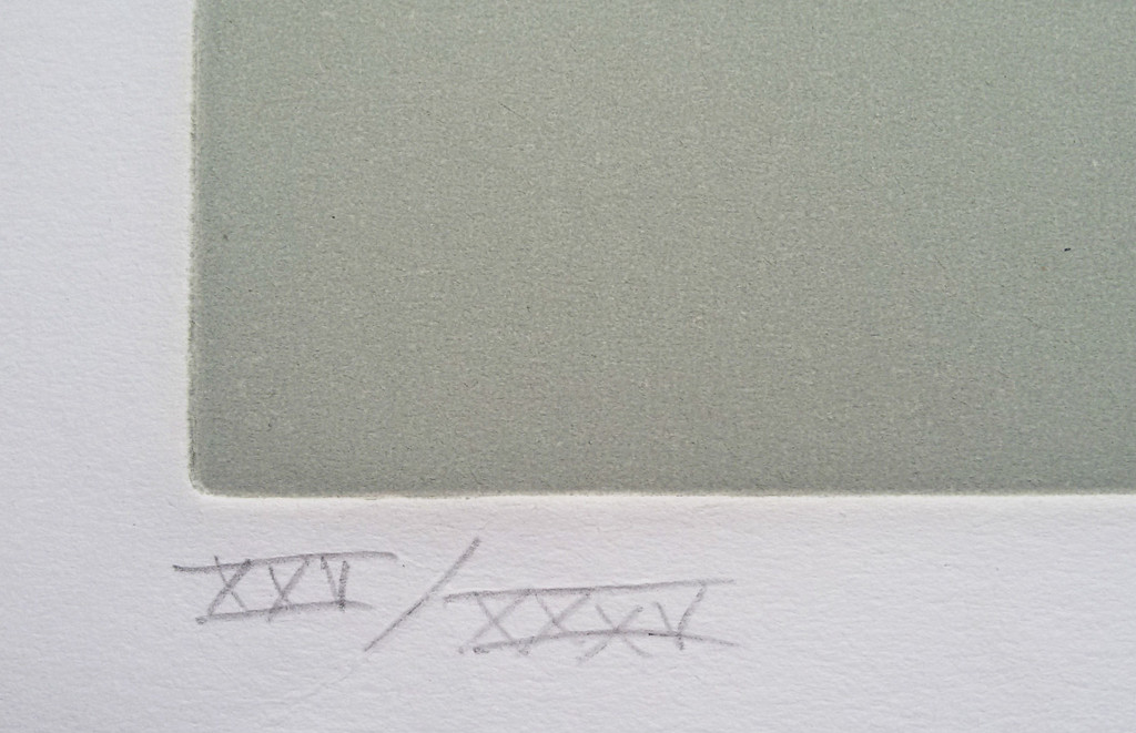 Ronald Tolman - Waterwereld, aquatint ets kopen? Bied vanaf 100!