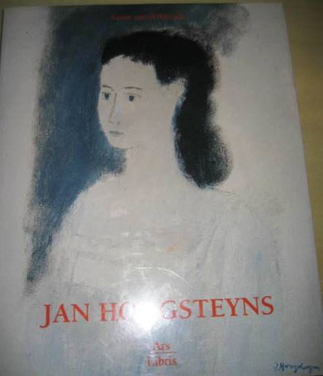 Jan Hoogsteyns Anne olie op doek inclusief boek kopen? Bied vanaf 350!