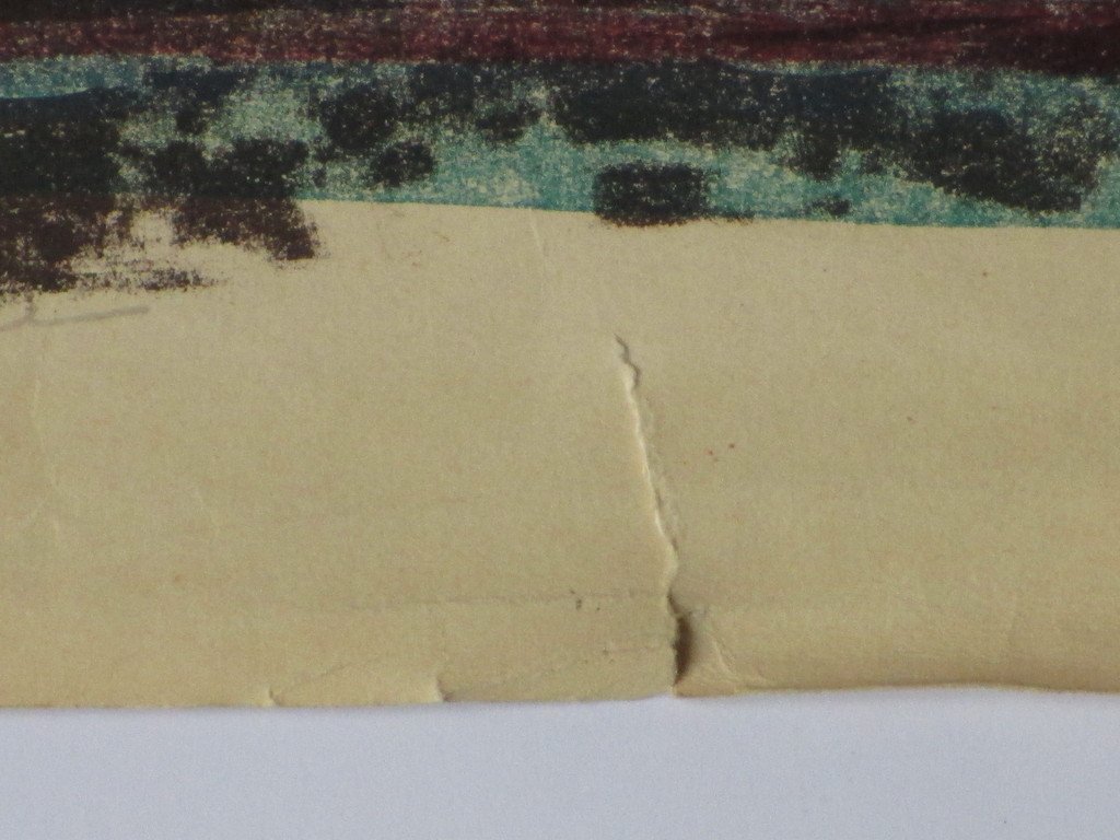 Jan Bezemer, Twee paarden, Kleurenlitho kopen? Bied vanaf 55!