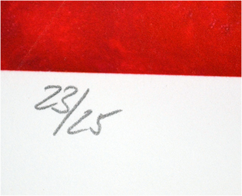 Armando, "Rotes Bild", kleuren giclee, gesigneerd, oplage 25, 2015 kopen? Bied vanaf 180!