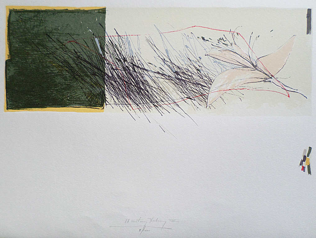 XX-century Botany, litho kopen? Bied vanaf 25!