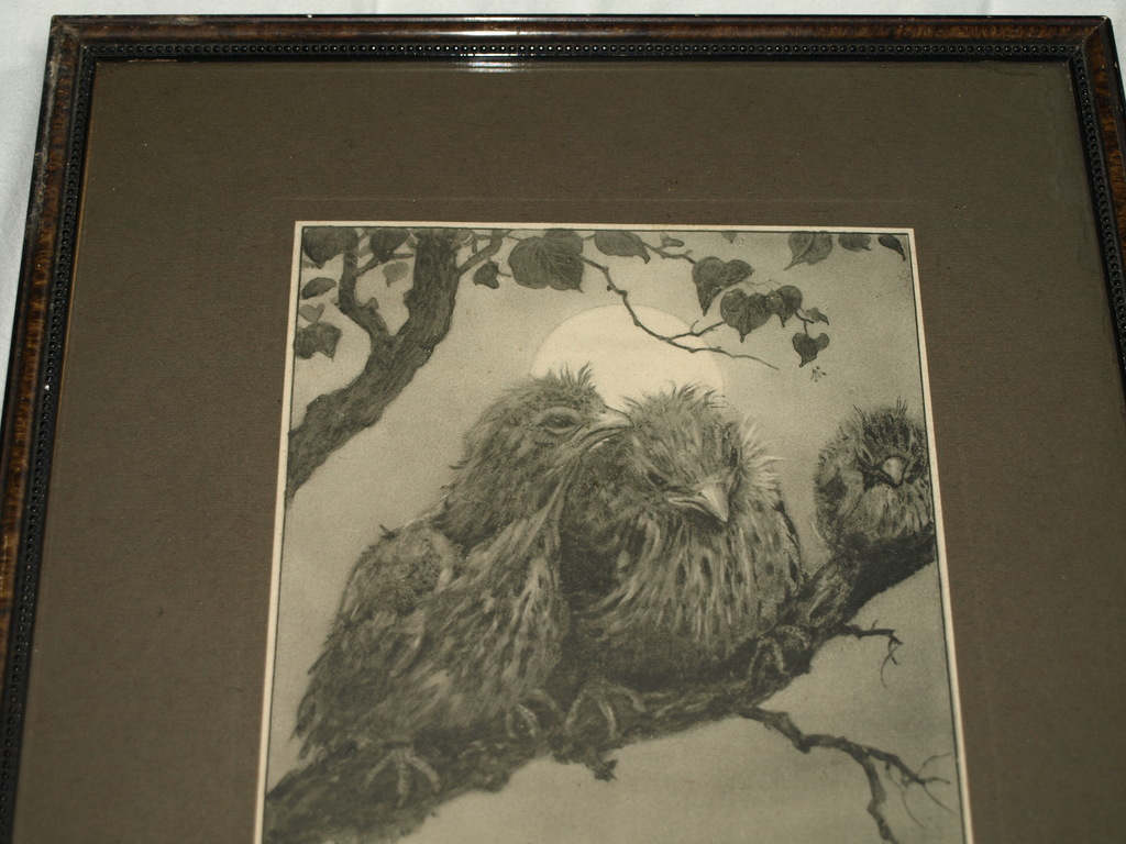 Henri Verstijnen (1882-1940)  : Litho – Jonge vogels – Ingelijst- ca 1930 kopen? Bied vanaf 1!