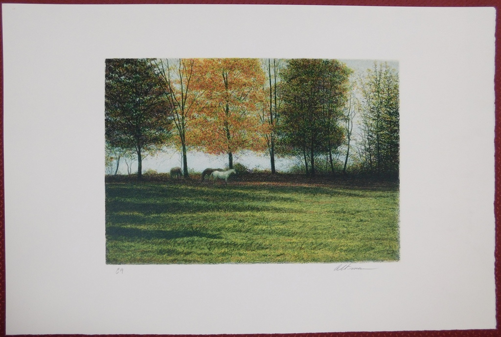 Harold Altman - Kleurenlitho - Paarden in de wei kopen? Bied vanaf 35!