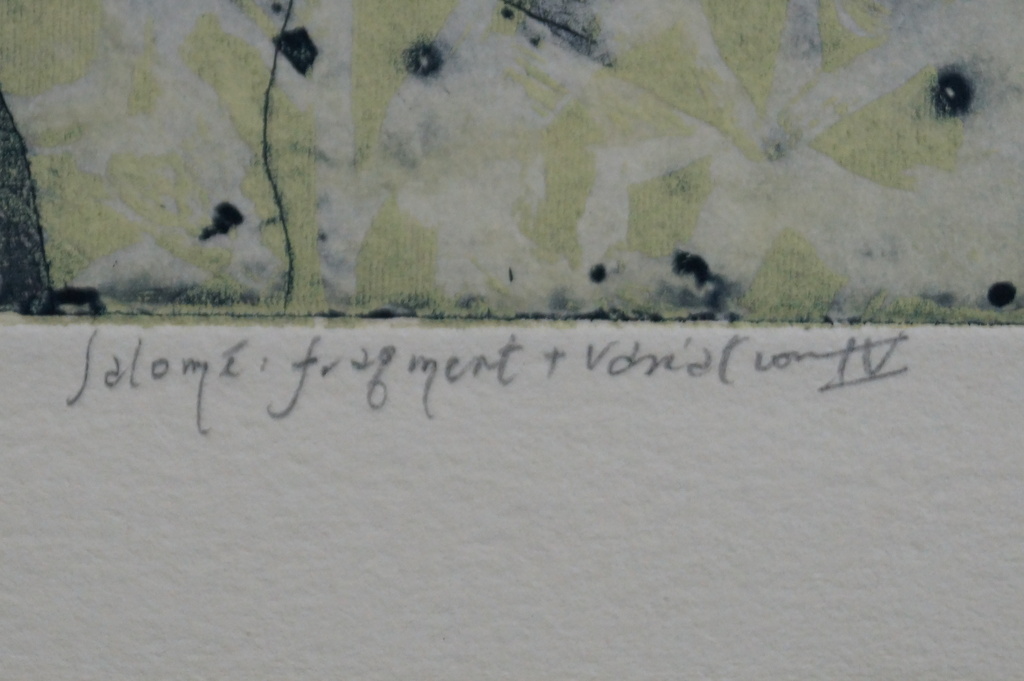 Mark Visione - gesigneerde ets - Salomé: fragment + variation IV kopen? Bied vanaf 10!
