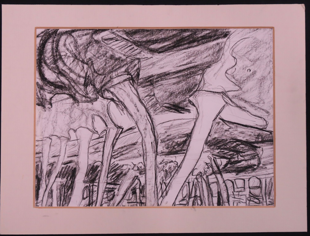 Sophie Bekkering: Houtskool op papier, Sprengkop kopen? Bied vanaf 1!