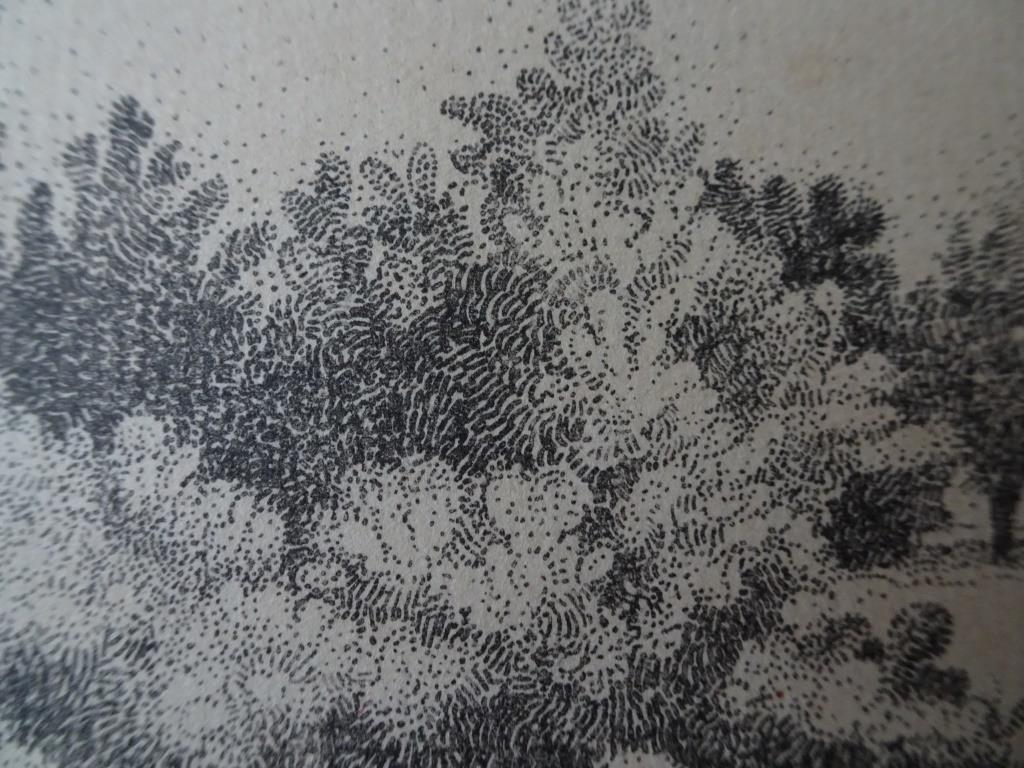 Johan Briedé Twee werken  op papier. Bosgezicht- Knotwilg  kopen? Bied vanaf 1!