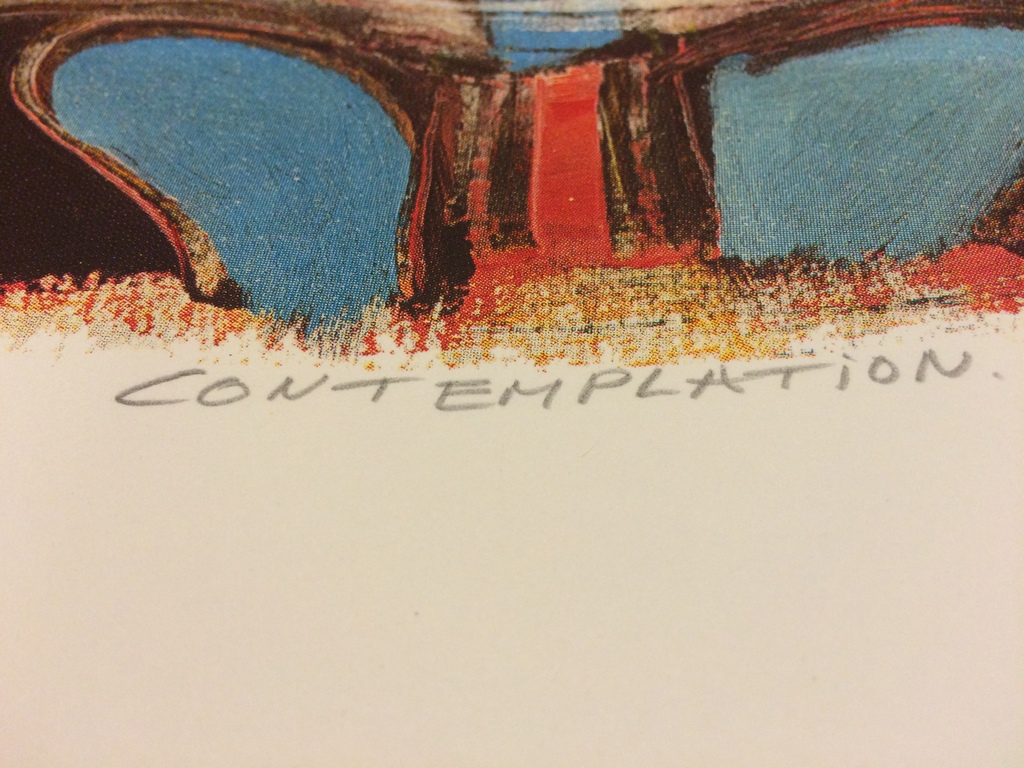 zeefdruk Cor de Jong Contemplation kopen? Bied vanaf 50!