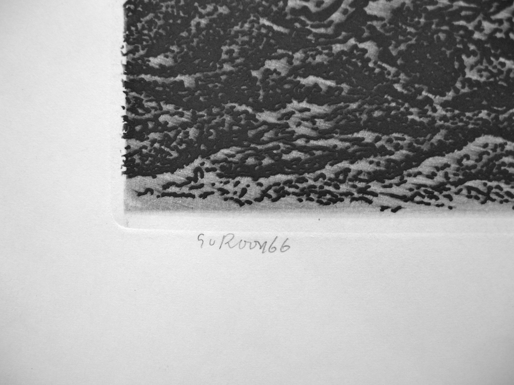 Gerard van Rooy, ets/aquatint/suikeraquatint: 'Vissenkop en hanenkop' kopen? Bied vanaf 30!