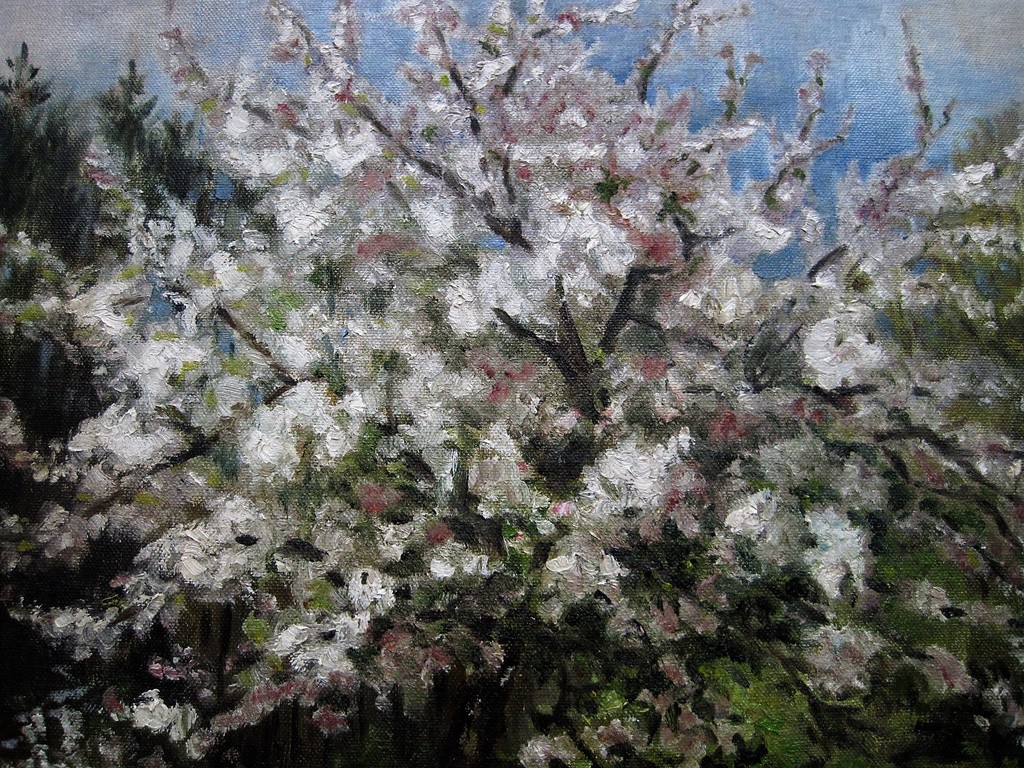 Alex C Rosemeier olieverf 1888-1992 "Bloesembomen in de Betuwe" gesigneerd  kopen? Bied vanaf 1!